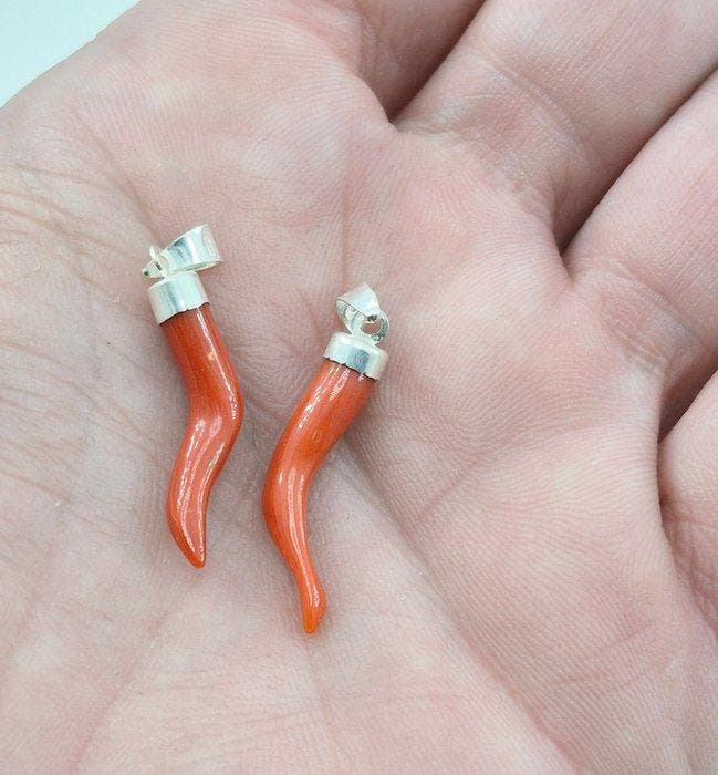 Corail Corail - Corallium rubrum (Sans prix de réserve), Antiek en Kunst, Curiosa en Brocante