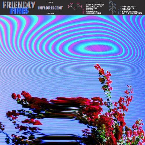 Friendly Fires - Inflorescent, CD & DVD, Vinyles | Pop, Envoi