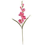 Gladiool Roze Zijdenbloem 60 cm per stuk, Huis en Inrichting, Nieuw