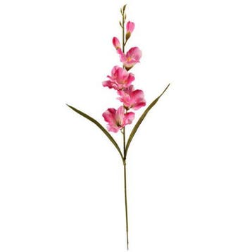 Gladiool Roze Zijdenbloem 60 cm per stuk, Huis en Inrichting, Nieuw
