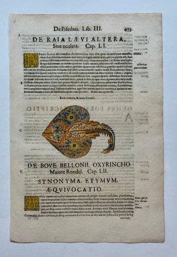 Ulisse Aldrovandi - De Piscibus Libri V - 1638