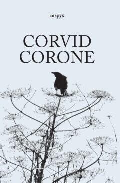 Corvid Corone 9789493230743 MSPYX, Verzenden, Zo goed als nieuw, MSPYX