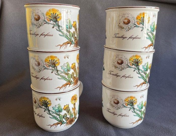 Villeroy & Boch - Koffieservies voor 6 (6) - Botanica-, Antiek en Kunst, Antiek | Meubels | Tafels