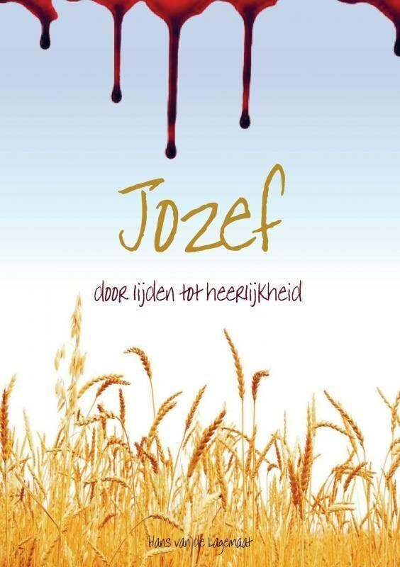Jozef 9789463425131 Hans van de Lagemaat, Boeken, Godsdienst en Theologie, Zo goed als nieuw, Verzenden