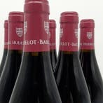 2021 Domaine Hudelot-Baillet - Bourgogne, Hautes-Côtes de, Verzamelen, Wijnen, Nieuw
