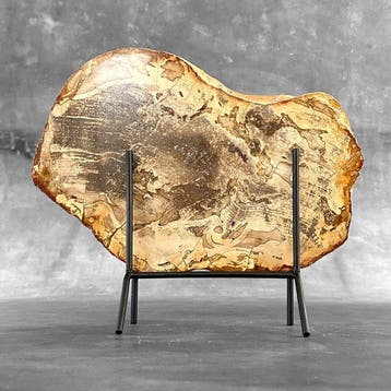 C - Prachtige grote plak versteend hout op een op maat