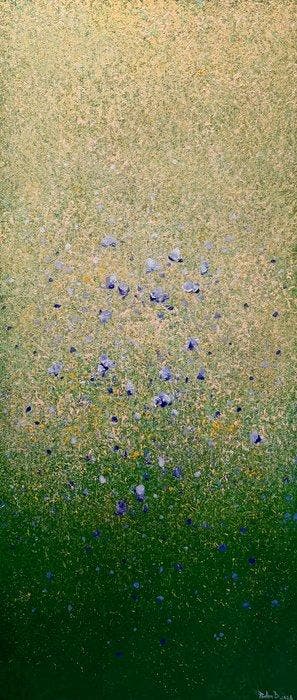 Parfen.D XXL - NO RESERVE Tanzanite Drift