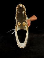 krokodillenkop Taxidermie volledige montage - Crocodylus, Nieuw