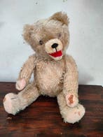 Hermann - Teddybeer - Duitsland