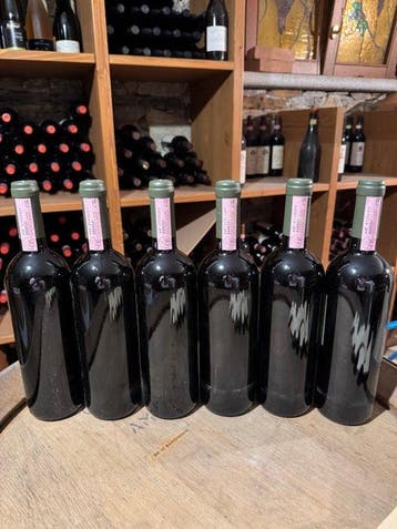 1996 Domenico Clerico, Percristina - Barolo - 6 Flessen, Nieuw
