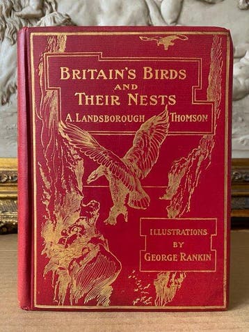 A. Landsborough Thomson. - George Rankin. - Britains Birds