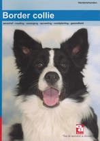 De Border Collie / Over Dieren / 070 9789058210746 J. Hannes, Verzenden, J. Hannes