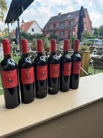 1998 Biondi Santi Schidione - Toscane - 6 Bouteilles (0,75, Nieuw