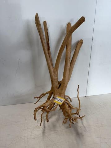 Boutique Stump Selected BS274 - 60x30x28cm (Natuurlijk hout), Ophalen of Verzenden, Plant(en), Steen of Hout