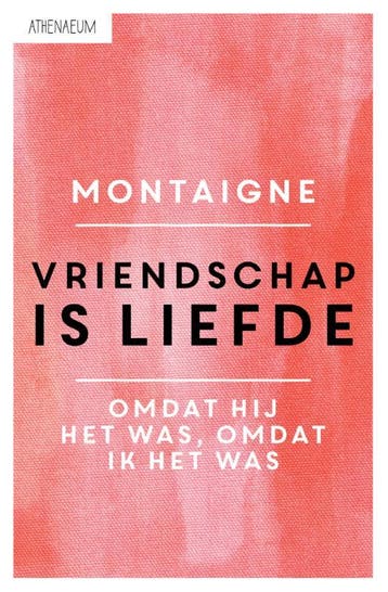 Vriendschap is liefde 9789025300715 Michel de Montaigne, Boeken, Verzenden, Zo goed als nieuw, Michel de Montaigne