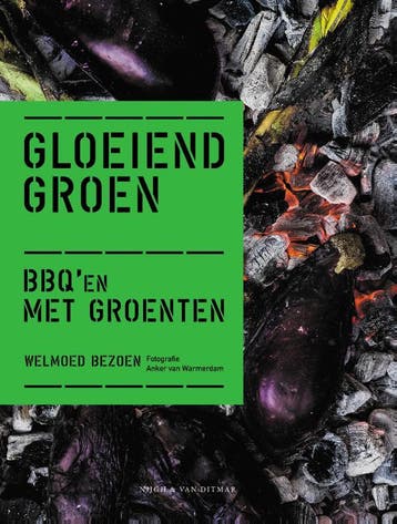 Gloeiend groen 9789038808833 Welmoed Bezoen, Verzenden, Zo goed als nieuw, Welmoed Bezoen