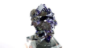 azuriet - Touissit, Jerada, Marokko - Hoogte: 5.3 cm -