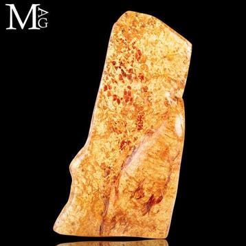 Specimen van kopaal - Natuurlijk - Jong amber - Madagaskar