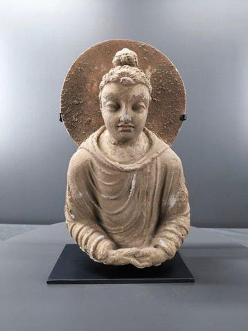 Gandhara Gips Buste van Boeddha Shakyamuni in stuc met een