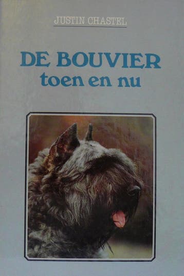 BOUVIER TOEN EN NU 9789051120141 Chastel, Verzenden, Gelezen, Chastel