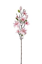 Magnolia tak Licht Roze Zijdenbloem 80 cm per stuk, Nieuw