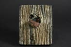 “Demi Knot Hole” – Limited Edition Resin Wall Sculpture