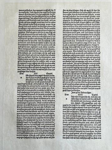 Albrecht Dürer (1471-1528), after - Woodcut - Apocalypsis, Antiek en Kunst