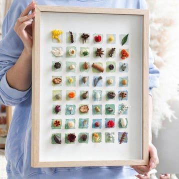 Diverse plantenzaden Taxidermie volledige montage - Various