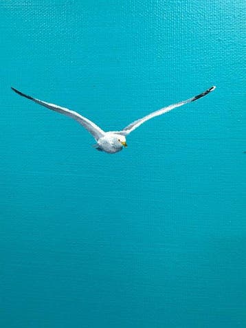 K.milla - Cry, the Beloved Coastline 03 - Seagull