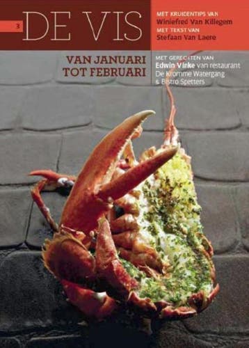 De vis 9789053497029 E. Vinke, Boeken, Kookboeken, Verzenden, Zo goed als nieuw, E. Vinke