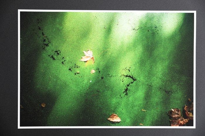 Viet Ha Tran - The infinite silence, Antiquités & Art, Art | Objets design
