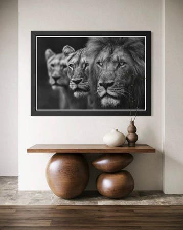 Rudy barret - The Lion Dynasty - XL