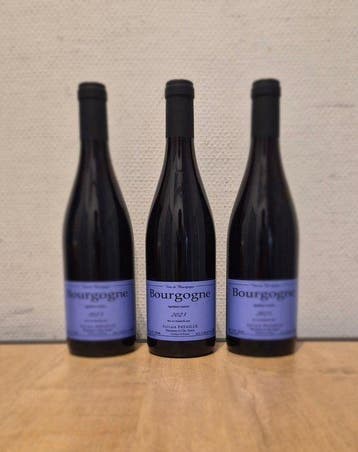 2023 Sylvain Pataille - Bourgogne - 3 Bouteilles (0,75 L), Collections, Vins