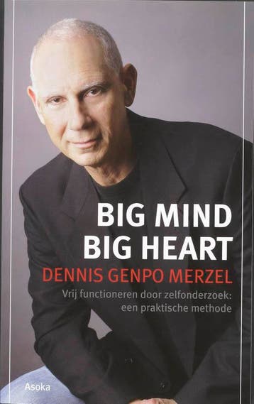 Big Mind 9789056701895 D.G. Merzel, Verzenden, D.G. Merzel