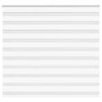 vidaXL Zebra Blind 165x100 cm stofbreedte 160,9 cm polyester, Verzenden