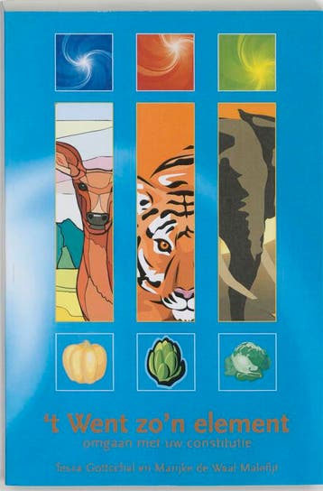 t Went zon element 9789051792454 T. Gottschal, Boeken, Verzenden, Zo goed als nieuw, T. Gottschal