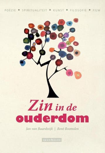 Zin in de ouderdom 9789492183149 Jan van Baardwijk, Boeken, Verzenden, Zo goed als nieuw, Jan van Baardwijk