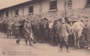 BELGIE (109x) - MILITAIR - CAMP D ELSENBORN - Ansichtkaart, Verzamelen, Gelopen