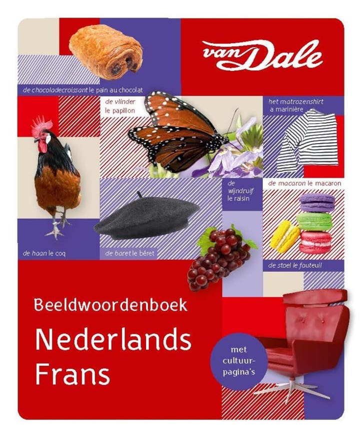 Van Dale beeldwoordenboek Nederlands-Frans / Van Dale, Boeken, Woordenboeken, Zo goed als nieuw, Verzenden