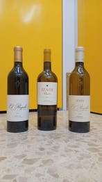 2018 Izadi, El Regalo Tinto Viñedo Singular, 2021 El Regalo, Verzamelen, Nieuw