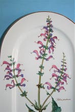 Villeroy & Boch - Assiette de service - Botanica - Vitro