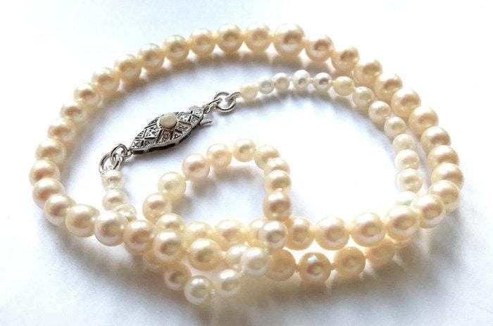 Zonder minimumprijs - Halsketting Akoya parels - 8 kt, Handtassen en Accessoires, Kettingen