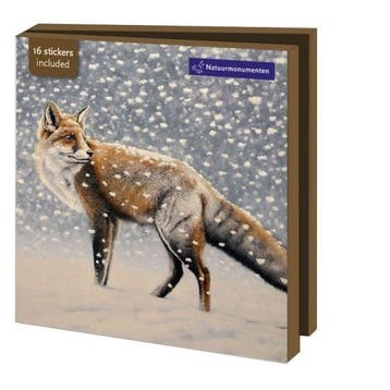Kaartenmapje met env, vierkant: Dieren in de Sneeuw, Hans, Diversen, Wenskaarten, Ophalen of Verzenden, Nieuw