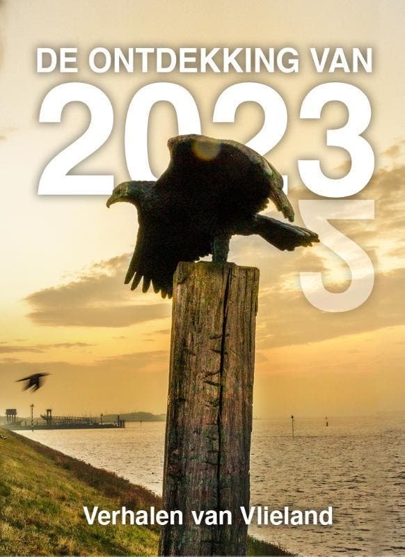 De ontdekking van 2023 9789464641042 Elly Godijn, Boeken, Literatuur, Gelezen, Verzenden