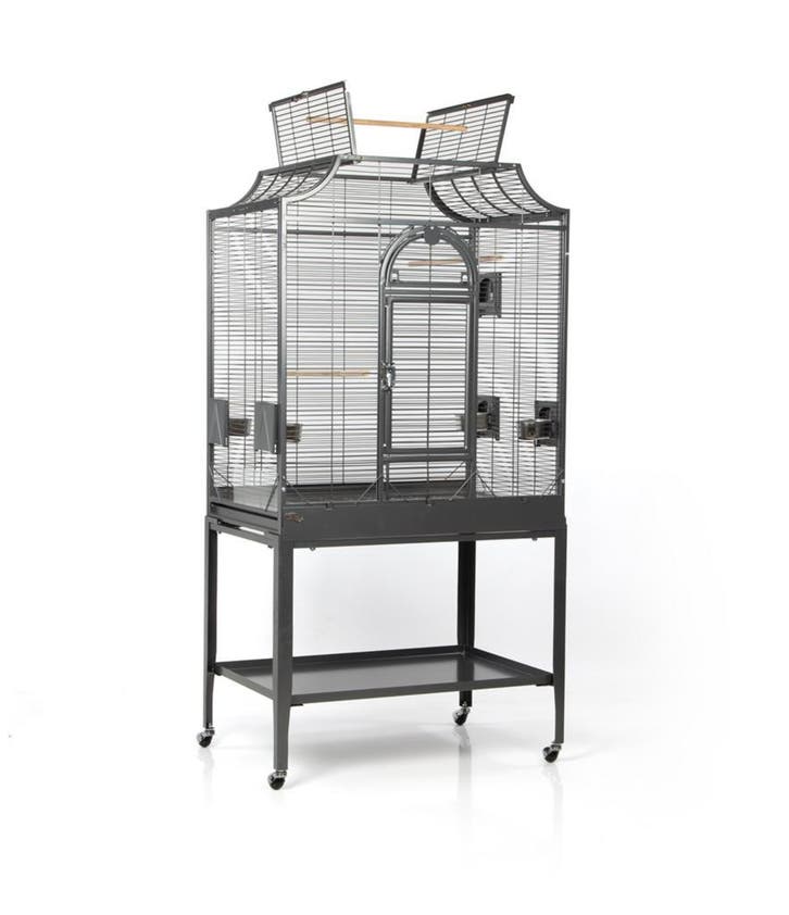 Montana Madeira II Antiek of Platinum - In Stock!, Dieren en Toebehoren, Vogels | Hokken en Kooien, Vogelkooi, Nieuw, Metaal, Ophalen of Verzenden