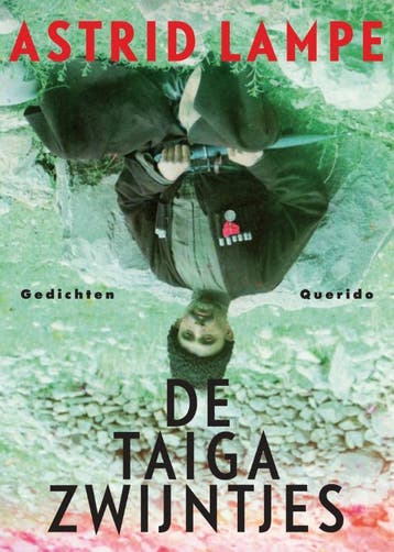 De taiga zwijntjes 9789021400457 Astrid Lampe, Boeken, Verzenden, Zo goed als nieuw, Astrid Lampe