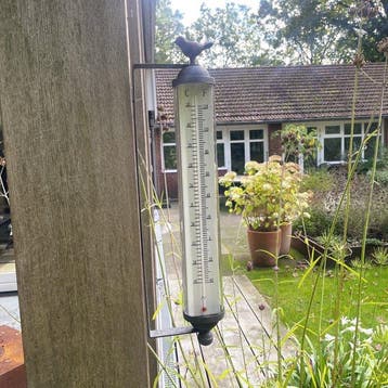 Thermometer - IJzer, Glas - 58,5 cm, Antiquités & Art