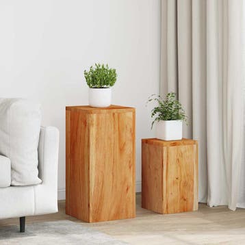 vidaXL Plantenstandaards 2 st massief acaciahout, Verzenden, Nieuw