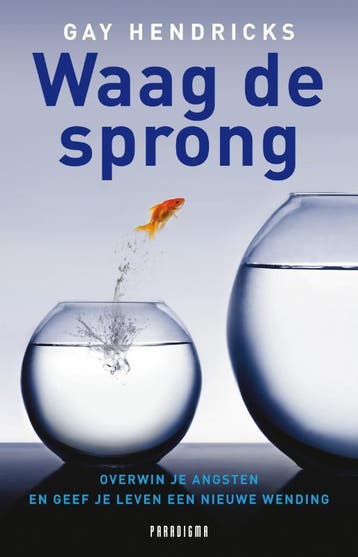 Waag de sprong 9789049960261 Gay Hendricks, Verzenden, Gay Hendricks