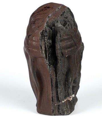 532 g 10,30 × 6,60 cm AA Museumstuk Echt dendroliet Trias